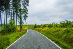 2017-07-16-Vierherrenwald-DSCN9814-LR