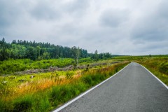 2017-07-16-Vierherrenwald-DSCN9815-LR