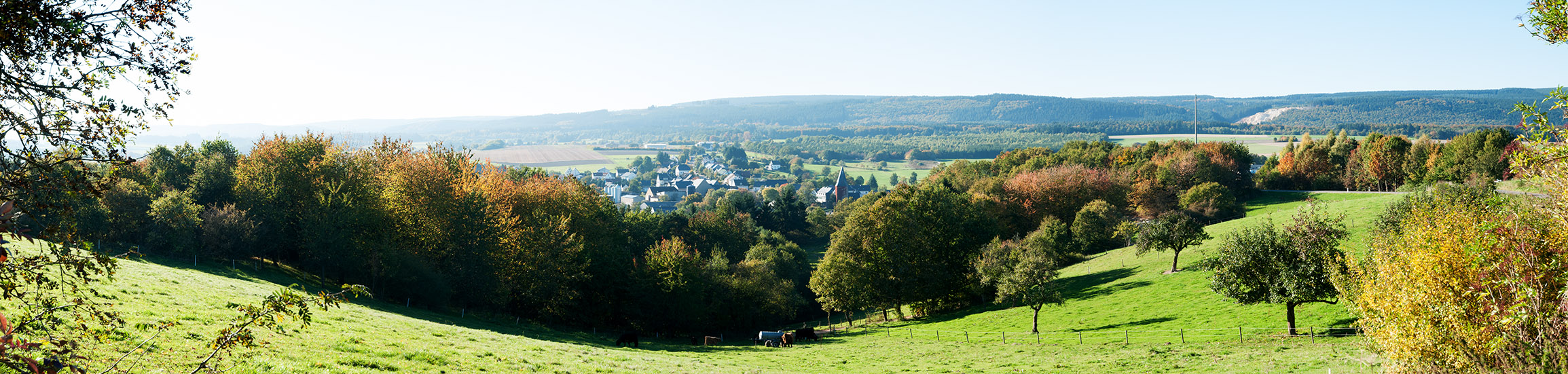 Windkraftfreier Idarwald